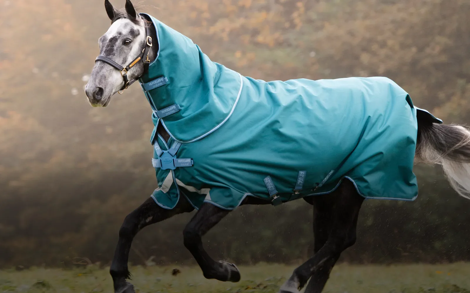 Ride With Premium Equestrian Style